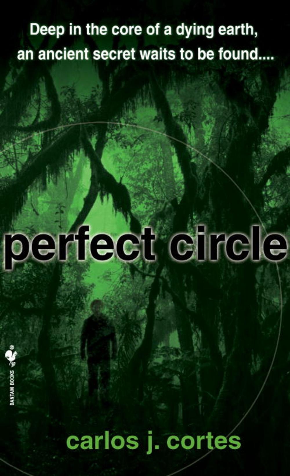 Big bigCover of Perfect Circle