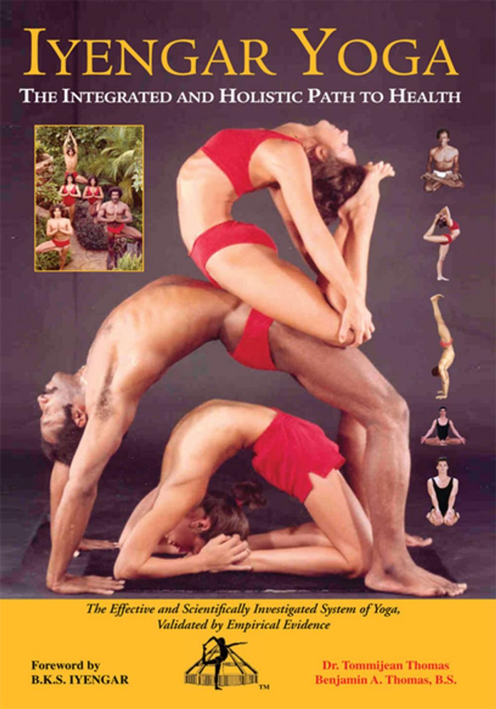 Big bigCover of Iyengar Yoga the Integrated and Holistic Path to Health