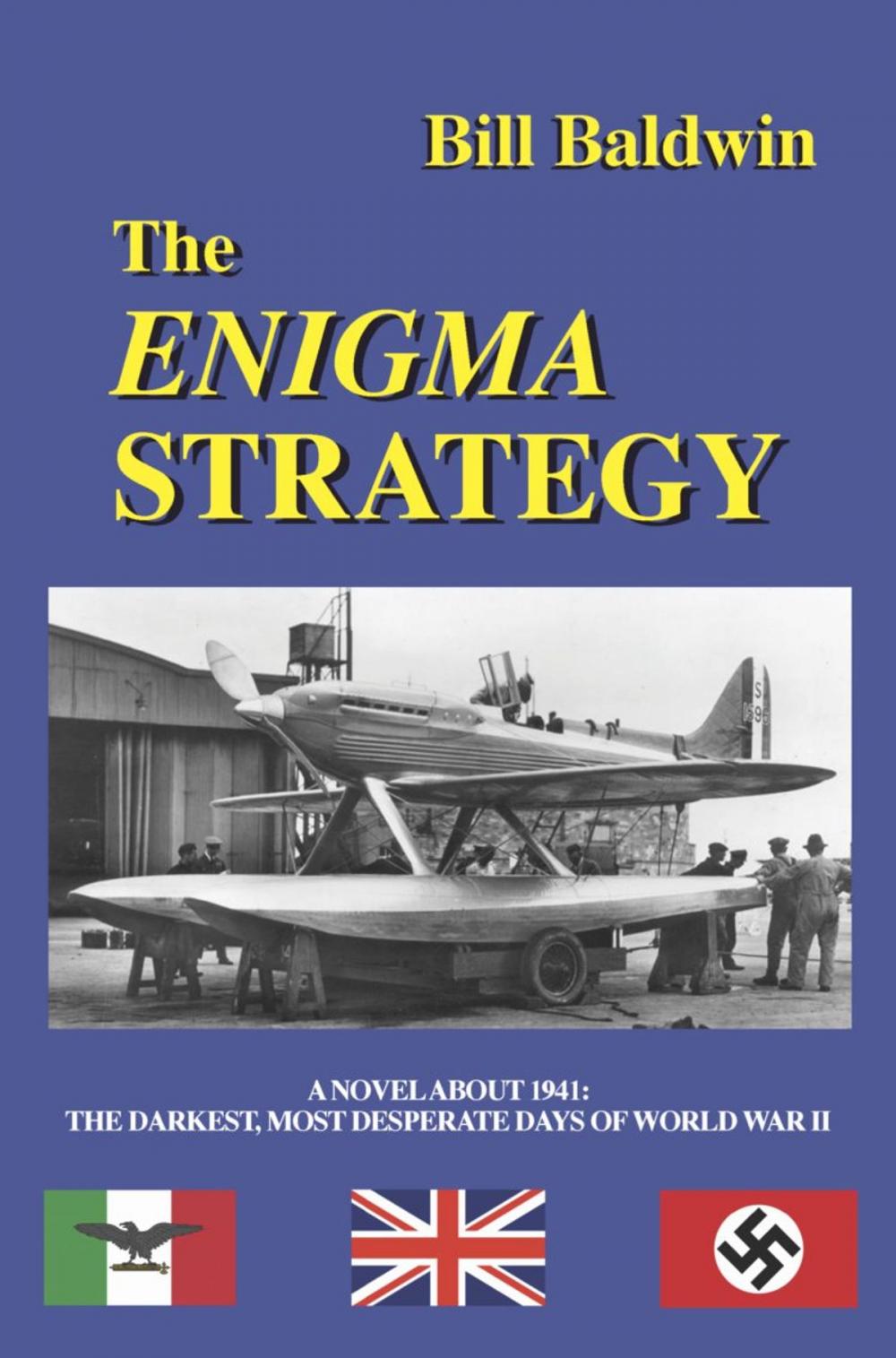 Big bigCover of THE ENIGMA STRATEGY
