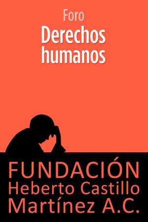 Cover of the book Derechos Humanos by Fundación Heberto Castillo Martínez AC, María Teresa Juárez de Castillo, Dr. Enrique Semo Calev