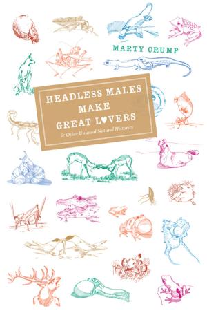 Cover of the book Headless Males Make Great Lovers by Susanna B. Hecht