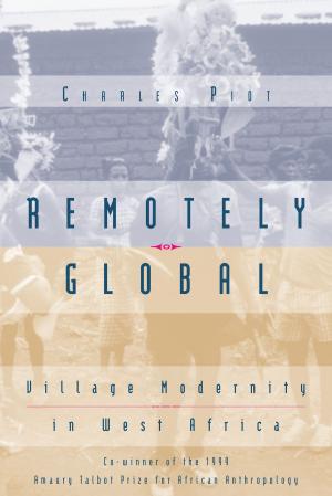 Cover of the book Remotely Global by Stephen Ellingson