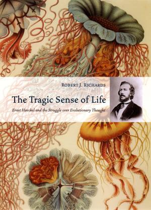 Cover of the book The Tragic Sense of Life by David J. Harding, Jeffrey D. Morenoff, Jessica J. B. Wyse