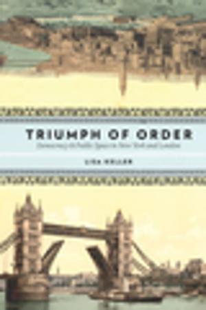 Cover of the book Triumph of Order by Saiichi Maruya