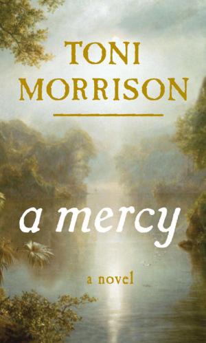 Cover of the book A Mercy by Elie Wiesel
