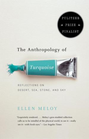 Cover of the book The Anthropology of Turquoise by Stefan Kanfer
