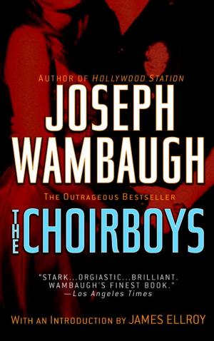 Cover of the book The Choirboys by John Updike