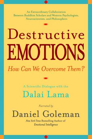 Cover of the book Destructive Emotions by Iris Johansen