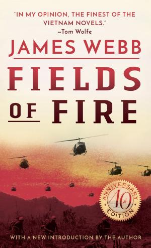 Cover of the book Fields of Fire by Edward F. Murphy