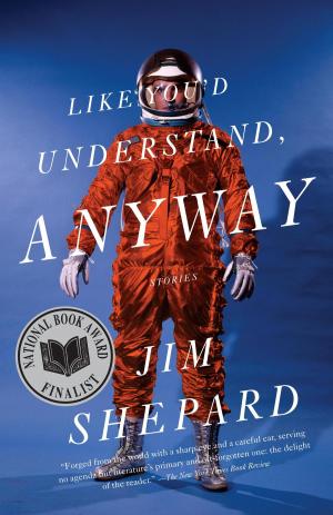 Cover of the book Like You'd Understand, Anyway by Stephen Levine, Ondrea Levine