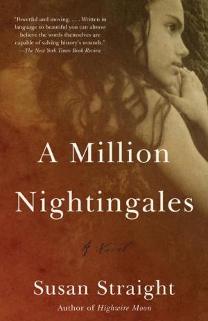 Cover of the book A Million Nightingales by William Faulkner