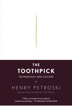 Cover of the book The Toothpick by Dexter Palmer