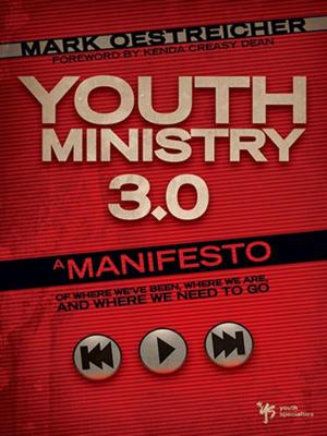 Cover of the book Youth Ministry 3.0 by Cindy Kirk