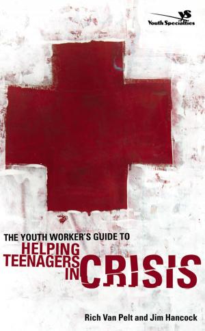 Cover of the book The Youth Worker's Guide to Helping Teenagers in Crisis by Karen Kingsbury