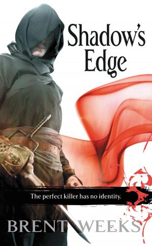 Cover of the book Shadow's Edge by Jennifer Noel