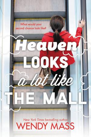 Cover of the book Heaven Looks a Lot Like the Mall by Lucy Rosen