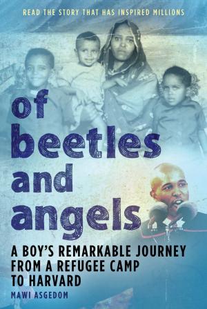 Cover of the book Of Beetles and Angels by Jen Calonita