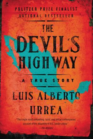Cover of the book The Devil's Highway by James Patterson