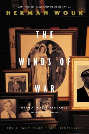 Cover of the book The Winds of War by Sami S. David, Jill Blakeway