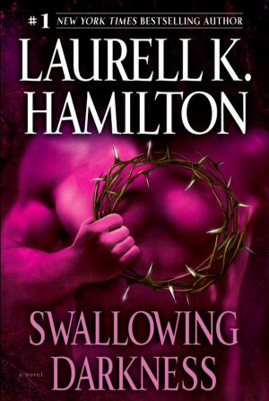 Cover of the book Swallowing Darkness by Suzanne Brockmann