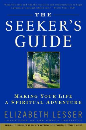 bigCover of the book The Seeker's Guide by 