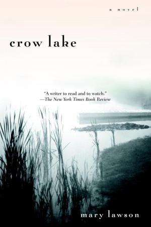 Cover of the book Crow Lake by Erich Segal