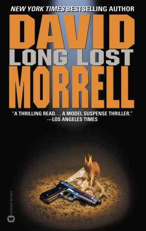 Cover of the book Long Lost by Mary Pat Kelly