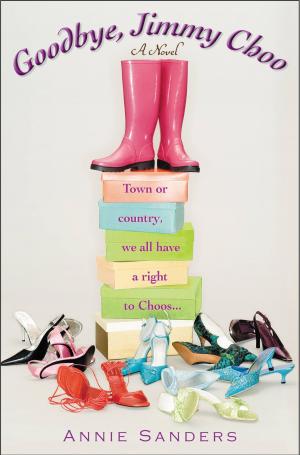 Cover of the book Goodbye, Jimmy Choo by Per Holbo