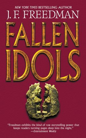 Cover of the book Fallen Idols by Millie Criswell