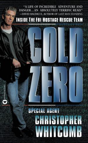 Cover of the book Cold Zero by Anna Harrington