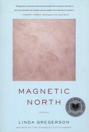 Cover of the book Magnetic North by Anders Ericsson, Robert Pool