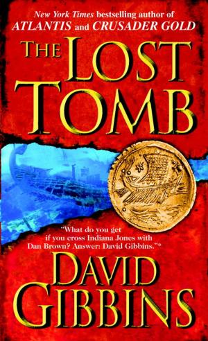 Cover of the book The Lost Tomb by Gaelen Foley