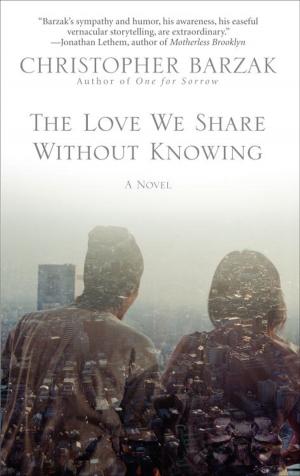 Cover of the book The Love We Share Without Knowing by Bobbie Ann Mason