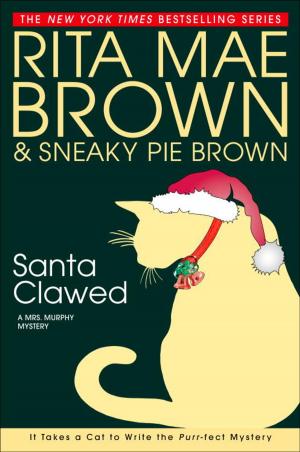 Cover of the book Santa Clawed by Leslie Carroll