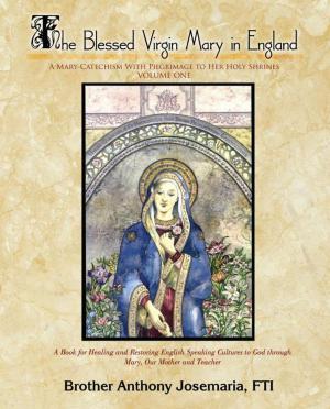 Cover of the book The Blessed Virgin Mary in England Vol. 1 by Glenn F. Chesnut
