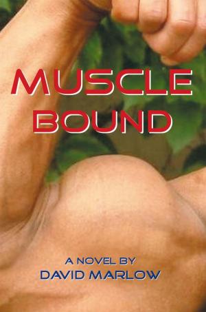 Book cover of Muscle Bound