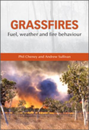 bigCover of the book Grassfires by 