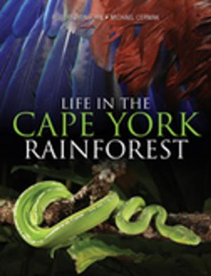 Cover of the book Life in the Cape York Rainforest by Bruce Thomson, Martyn Robinson