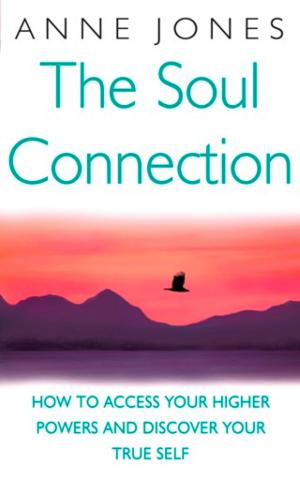 bigCover of the book The Soul Connection by 