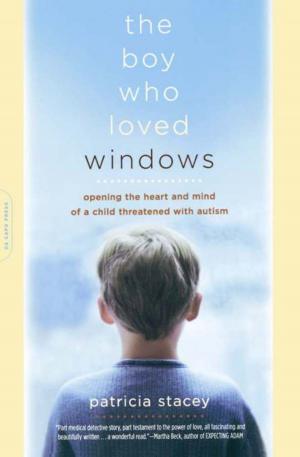 Cover of the book The Boy Who Loved Windows by Stephen P. Halbrook