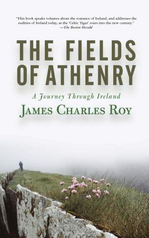 Cover of the book The Fields Of Athenry by Gloria Feldt