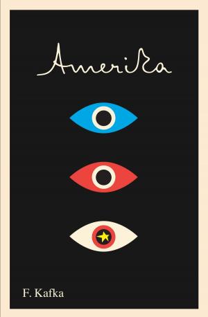 Cover of the book Amerika: The Missing Person by Margaret Atwood