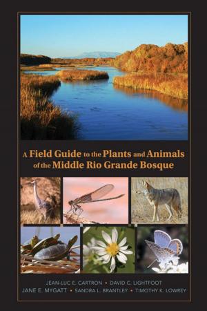 Cover of the book A Field Guide to the Plants and Animals of the Middle Rio Grande Bosque by B. J. Hollars