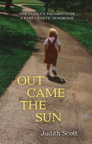 Cover of the book Out Came the Sun by Lisa Bany-Winters