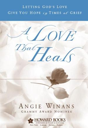 Cover of the book A Love that Heals by Dawn Meehan
