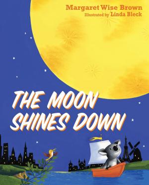Cover of the book The Moon Shines Down by John C. Maxwell