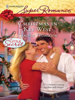 Book cover of Christmas in Key West