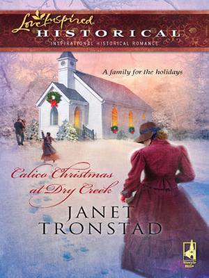 bigCover of the book Calico Christmas at Dry Creek by 