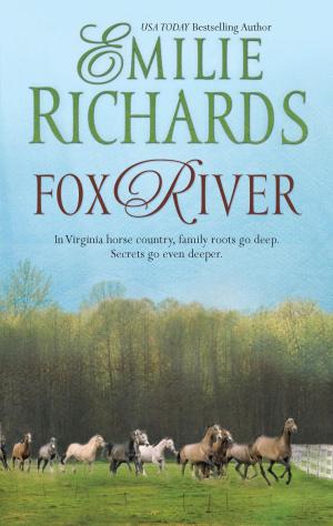 Cover of the book Fox River by Ginna Gray