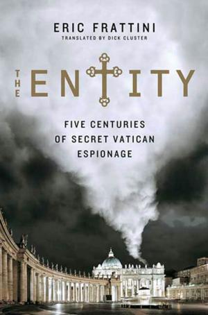 Cover of the book The Entity by John Decure